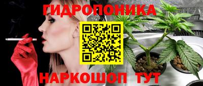 ALPHA-PVP Кандалакша