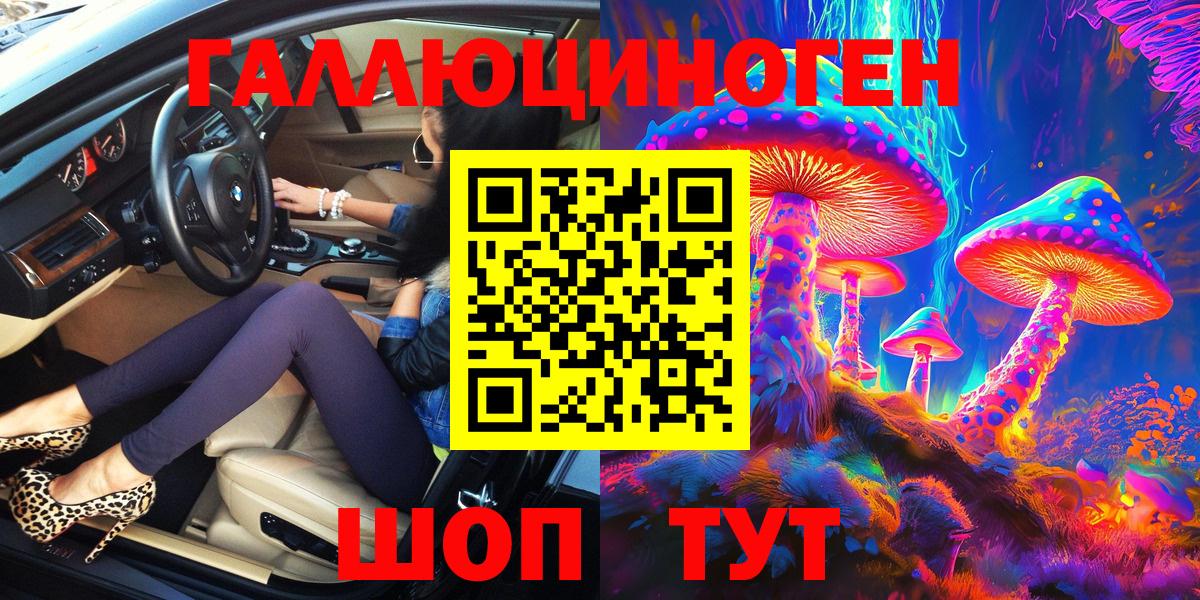 Псилоцибиновые грибы Psilocybine cubensis Королёв