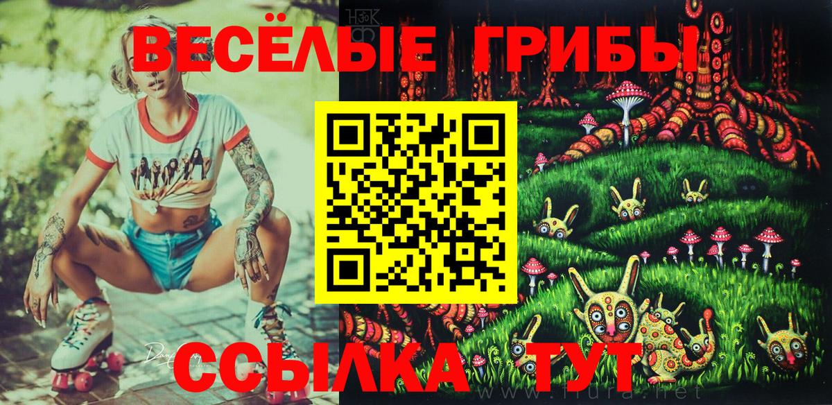 где можно купить   Галлюциногенные грибы MAGIC MUSHROOMS  Королёв  Вход с VPN  Псилоцибиновые грибы Psilocybine cubensis 